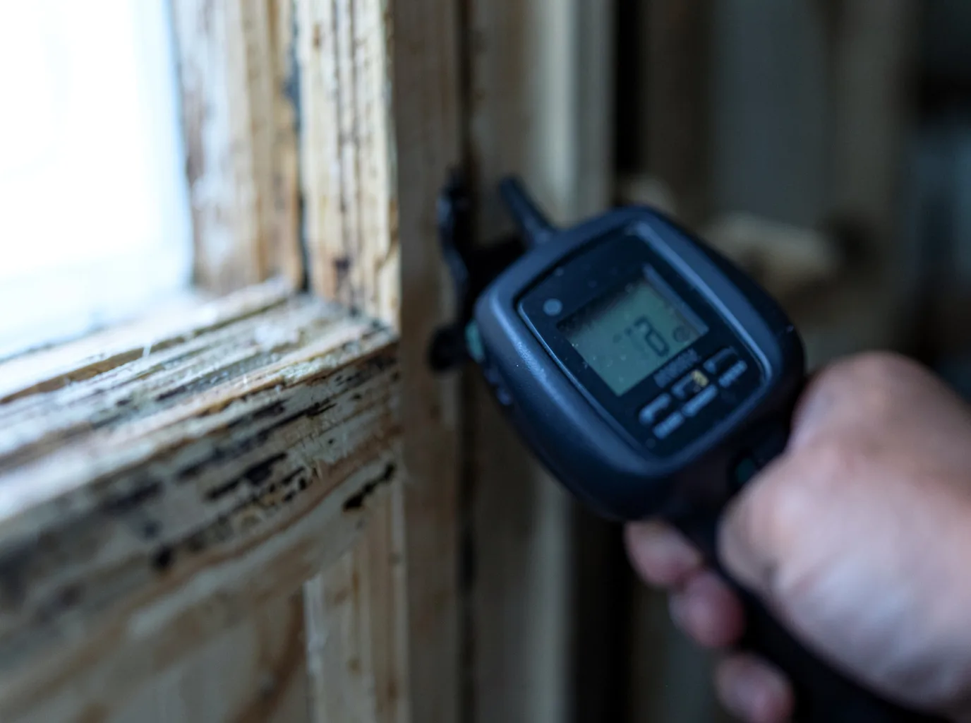 Moisture Inspection And Documentation in Greenback, TN